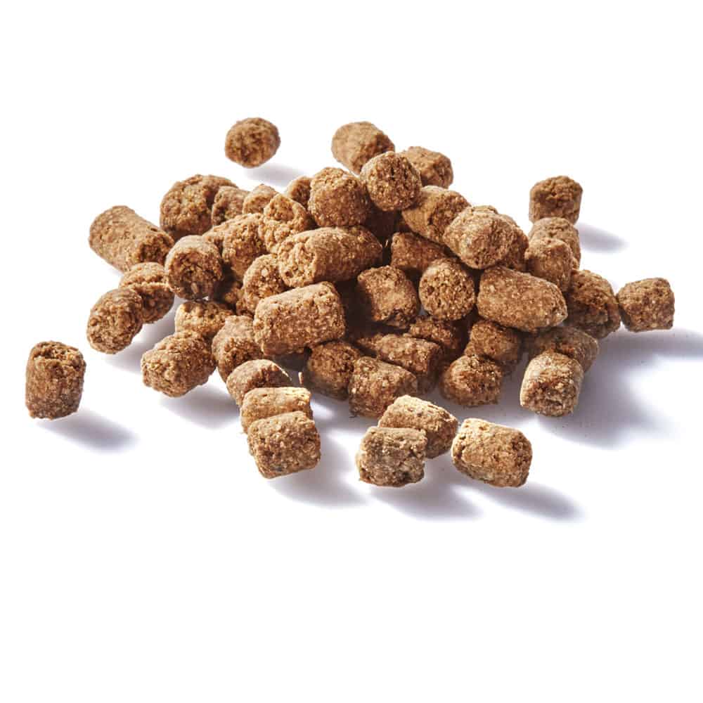 Beef Training Bites
